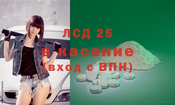 ПСИЛОЦИБИНОВЫЕ ГРИБЫ Баксан