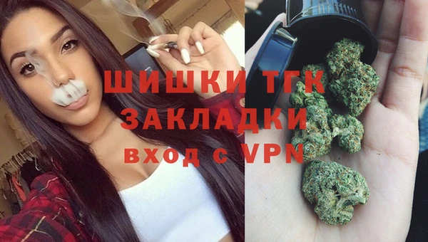 ПСИЛОЦИБИНОВЫЕ ГРИБЫ Баксан