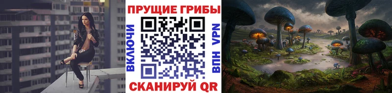 гидра зеркало  Семилуки  Псилоцибиновые грибы Magic Shrooms 