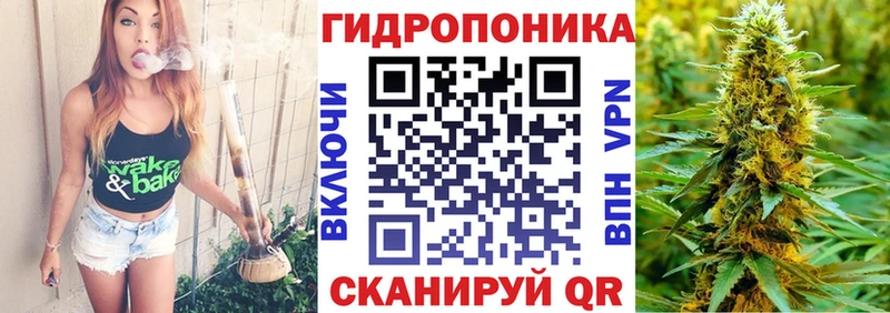 blacksprut ссылка Семилуки Каннабис индика